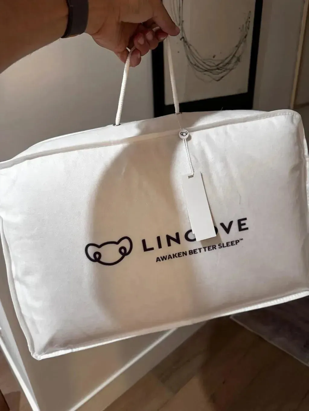 Maya’s Lincove pillow bag customer photo