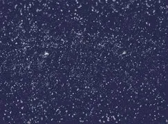 Blueberry (blue purple)