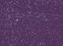 Eggplant (deep purple)