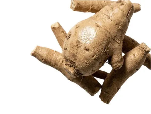 Shoden® Ashwagandha