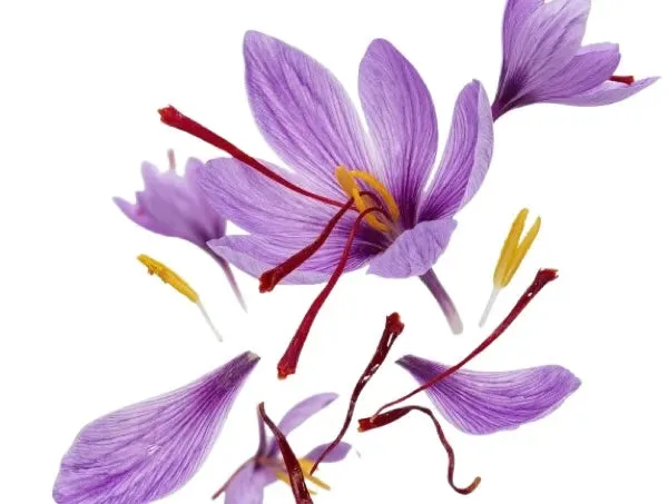 Saffron