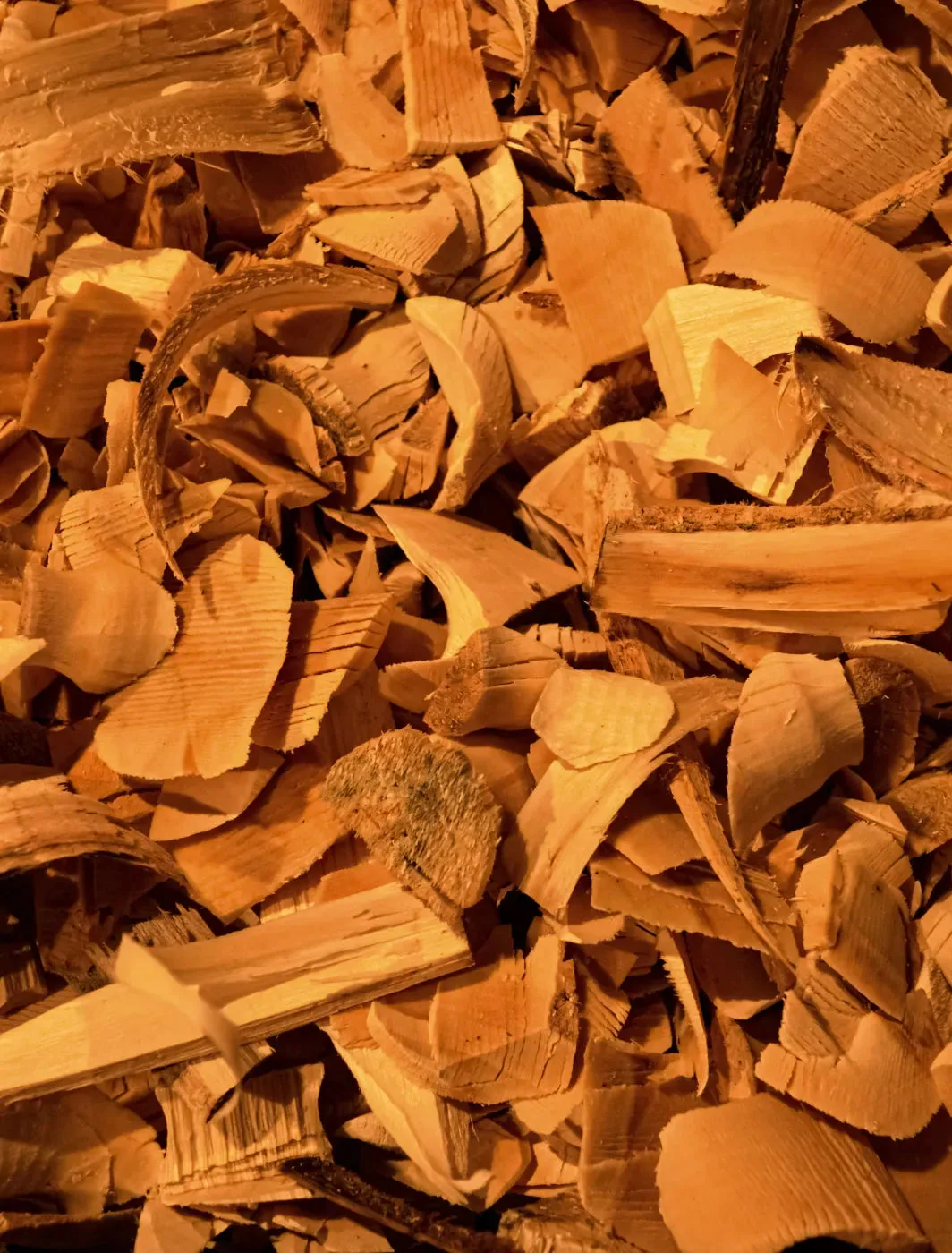Cedar scent note