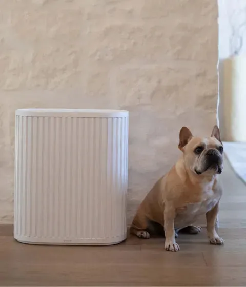 White Windmill Air Purifier Max in a living room with a pug