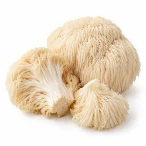 Lions Mane mushroom