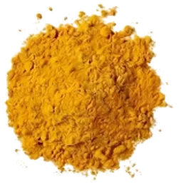 Turmeric powder