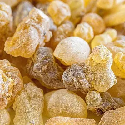 Boswellia resin