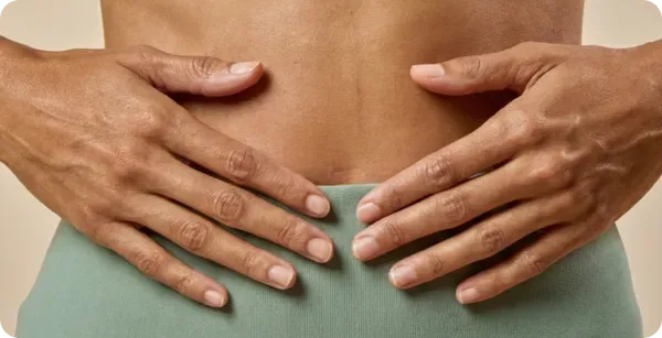 BodyBio gut health illustration